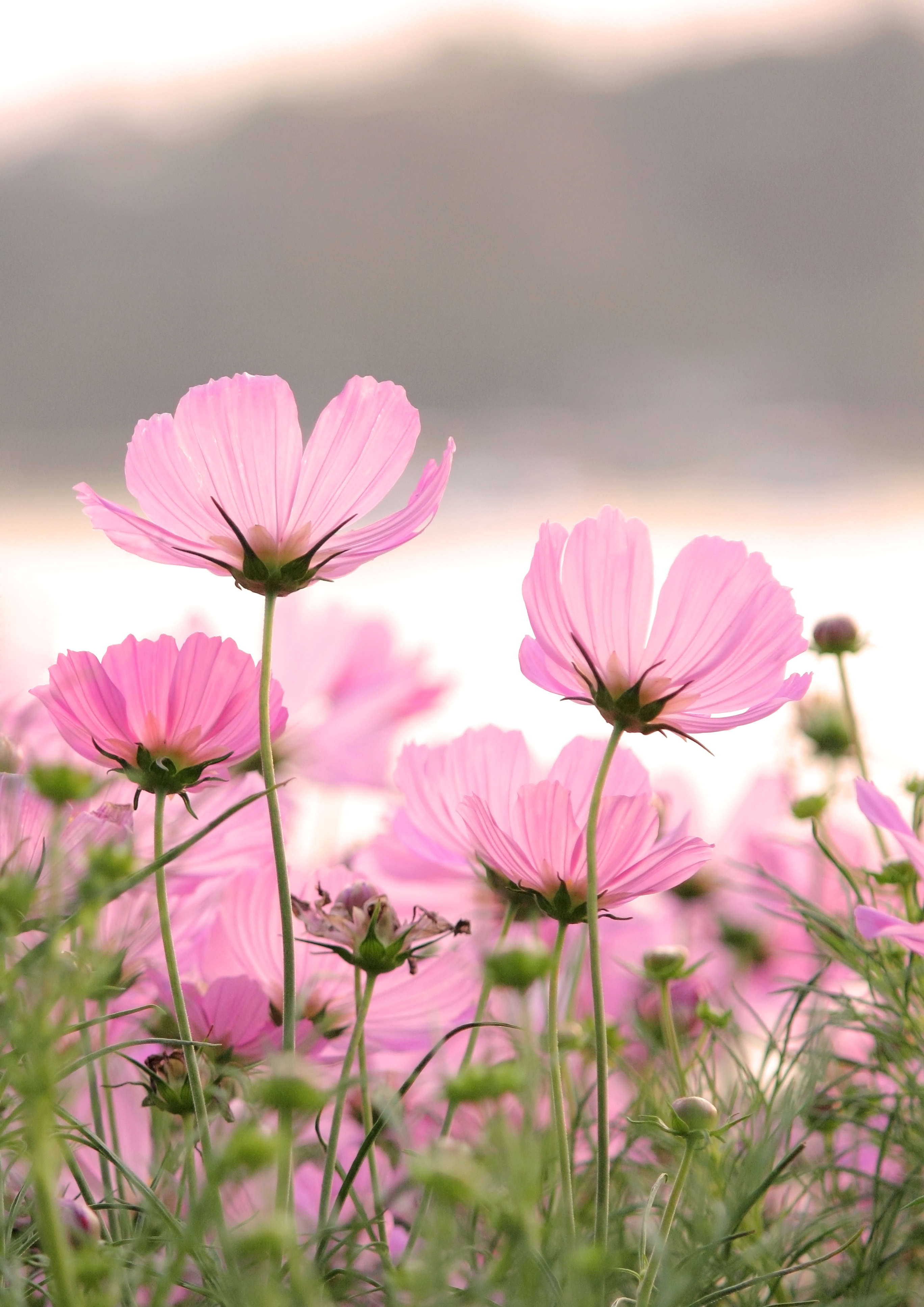 Natural Products